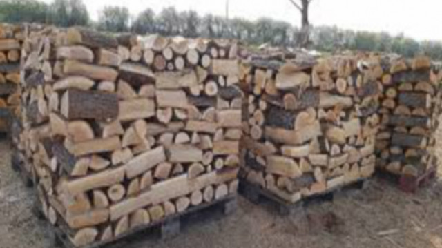 Жителите на Област Варна са получили над 32 хиляди кубика дърва за огрев